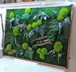 tablou cu muschi si ferigi stabilizate