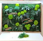 tablou cu muschi si ferigi stabilizate