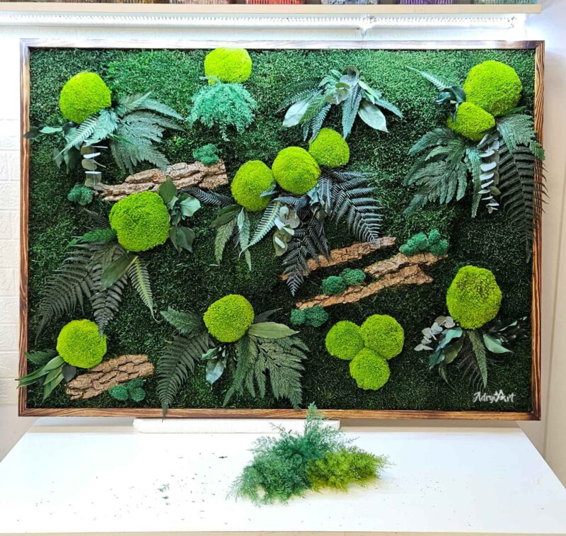 tablou cu muschi si ferigi stabilizate