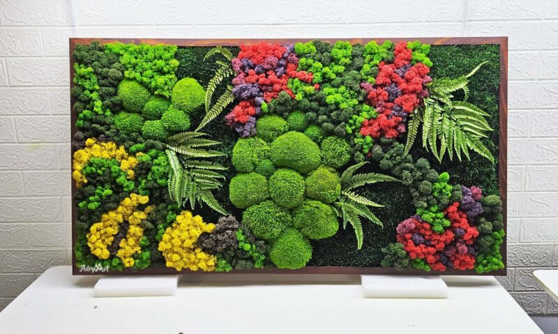 tablou licheni si feriga desire