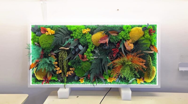 tablou licheni cu plante si ledcob