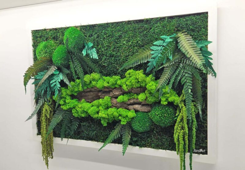 tablou licheni si amaranthus