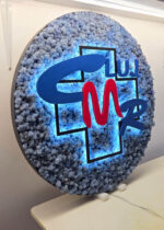 tablou licheni si sigla colegiul