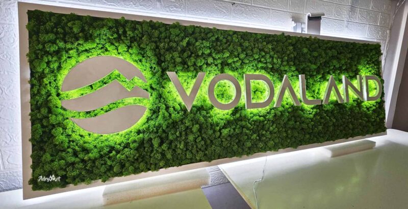 tablou licheni cu led si sigla voda