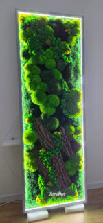 tablou licheni si muschi cu led .