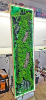 tablou licheni si muschi cu led forest