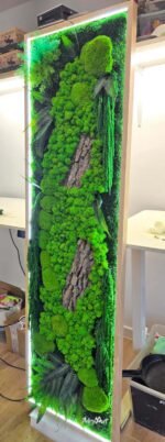 tablou licheni si muschi cu led forest