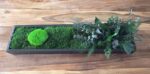 decoratiune muschi birou