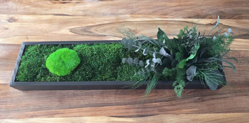 decoratiune muschi birou