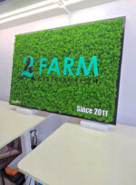 tablou licheni cu logo farmacie