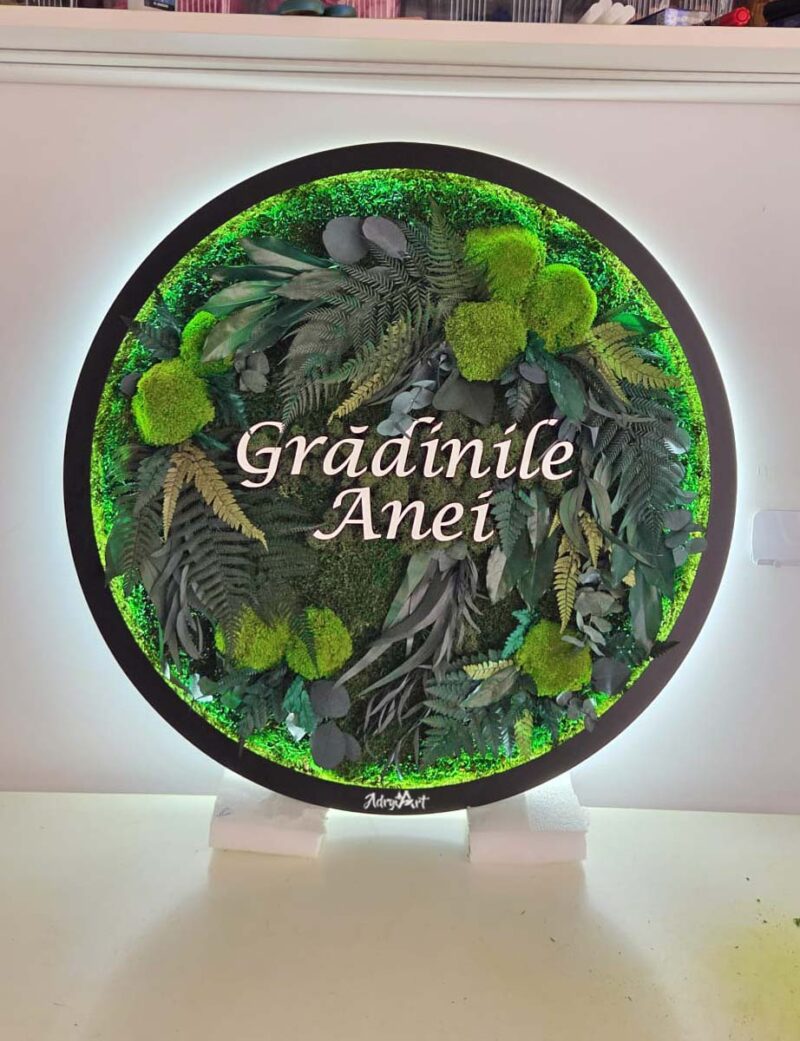 tablou rotund licheni si plante granei