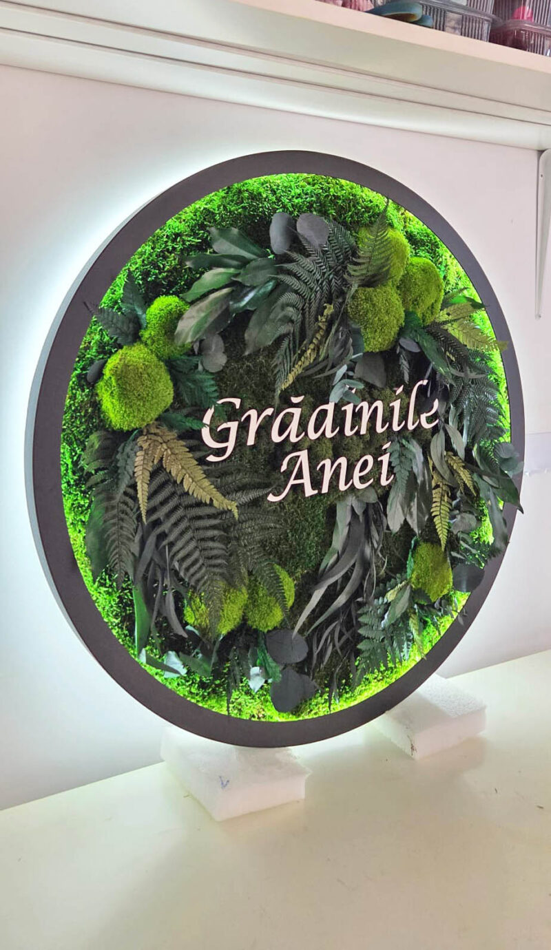 tablou rotund licheni si plante granei