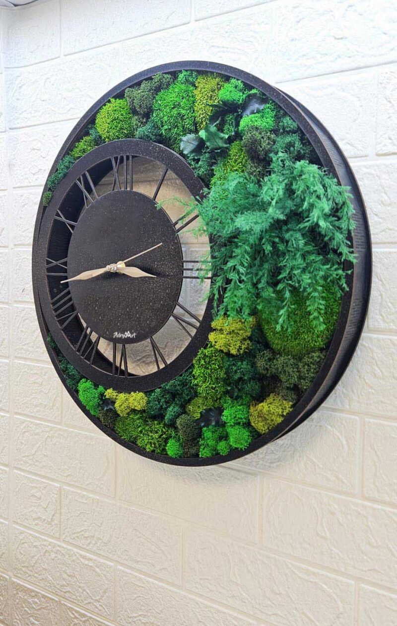 ceas cu licheni si muschi