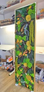 tablou licheni cu bombati si plante autumn tablou licheni cu bombati si plante autumn