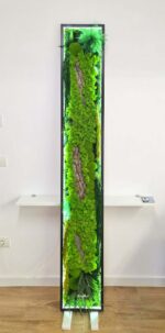 tablou licheni si ferigi baie tablou licheni si ferigi baie