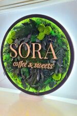 tablou muschi si logo sora tablou muschi si logo sora