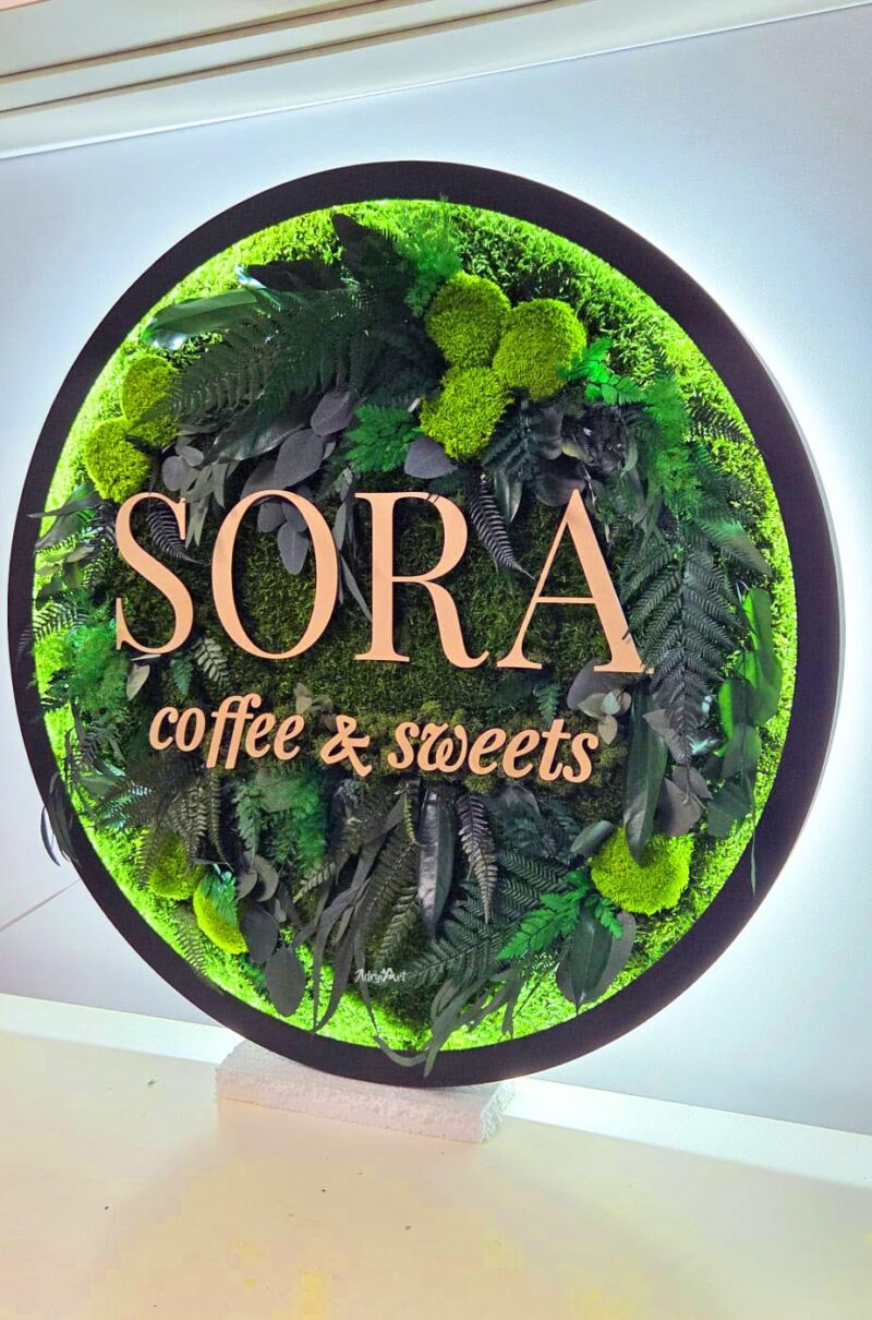 tablou muschi si logo sora