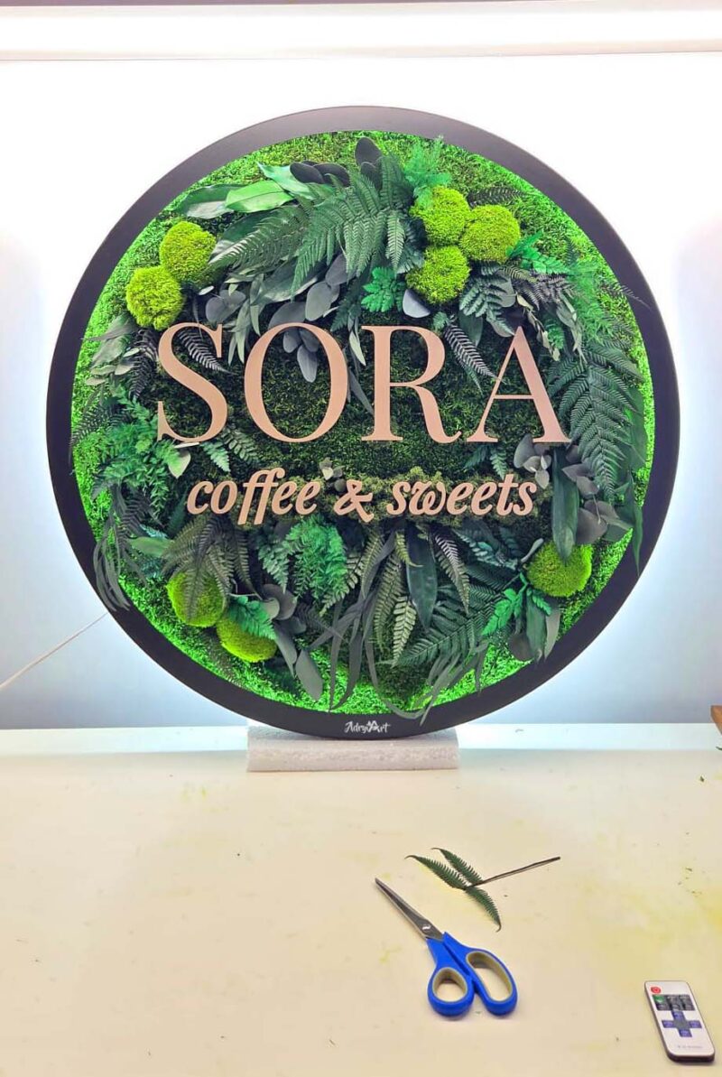 tablou muschi si logo sora
