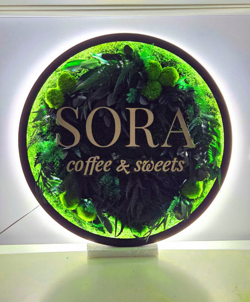 tablou muschi si logo sora