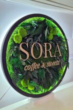 tablou muschi si logo sora