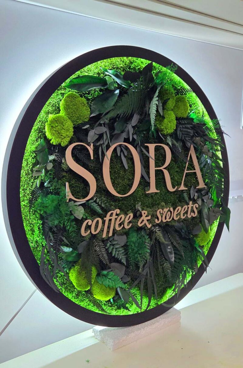 tablou muschi si logo sora