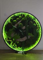 tablou licheni si muschi cu led tablou licheni si muschi cu led