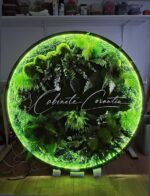 tablou rotund licheni si led cm receptie