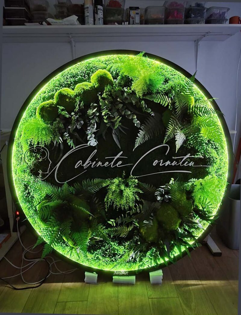 tablou rotund licheni si led cm receptie