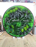 tablou rotund licheni si led cm receptie