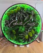 tablou rotund licheni si led cm receptie