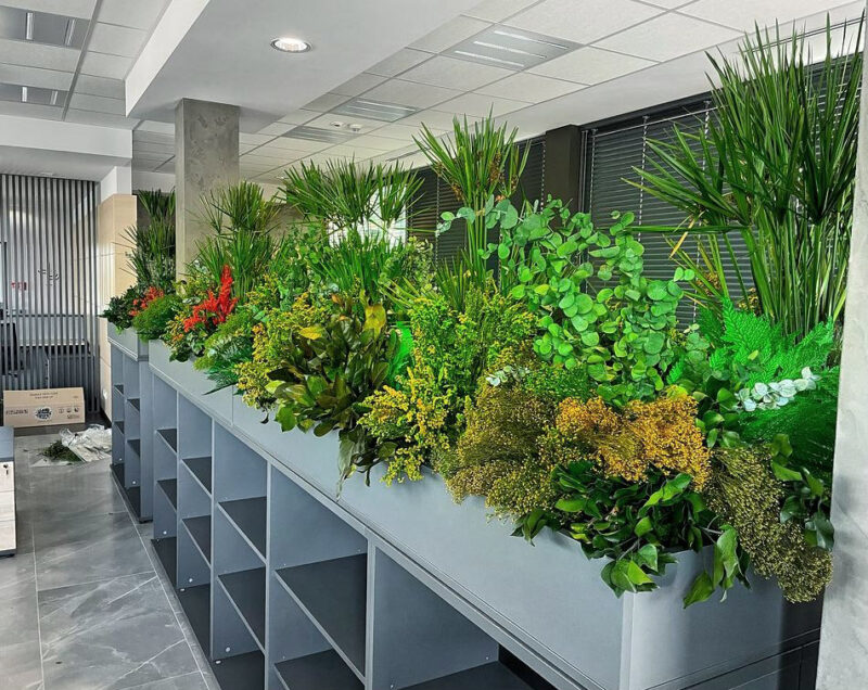 decoratiune cu plante stabilizate birou