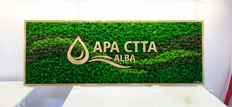 tablou licheni cu sigla apa ccta alba xx