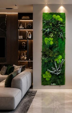 perete licheni si plante stabilizate living x