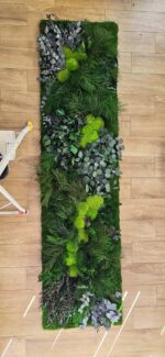 perete muschi cu plante stabilizate baie xxcm