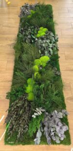 perete muschi cu plante stabilizate baie xxcm