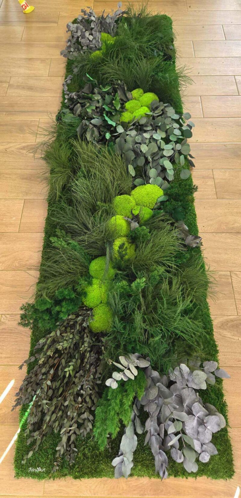 perete muschi cu plante stabilizate baie xxcm