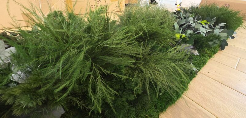 perete muschi cu plante stabilizate baie xxcm
