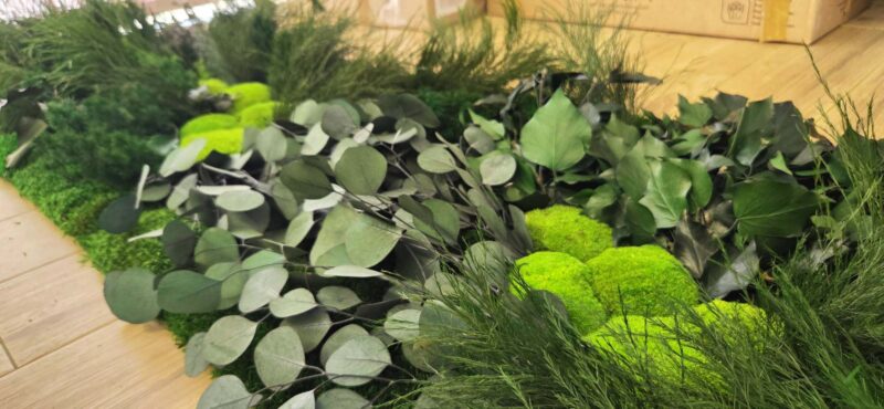 perete muschi cu plante stabilizate baie xxcm