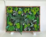 tablou licheni si plante x lemn ars