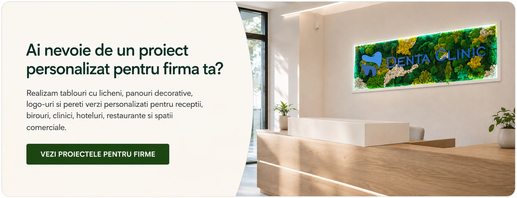 proiecte firme