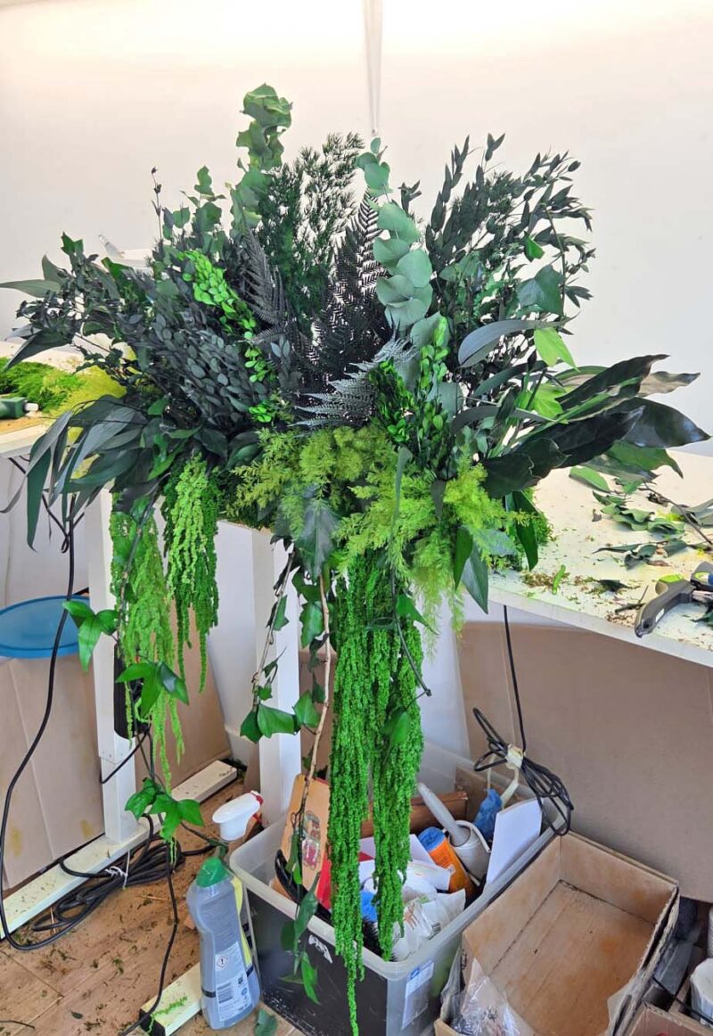 decoratiune cu muschi si plante stabilizate