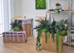 decoratiune cu muschi si plante stabilizate