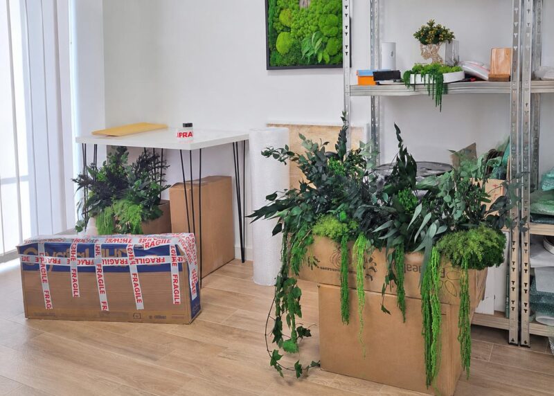 decoratiune cu muschi si plante stabilizate