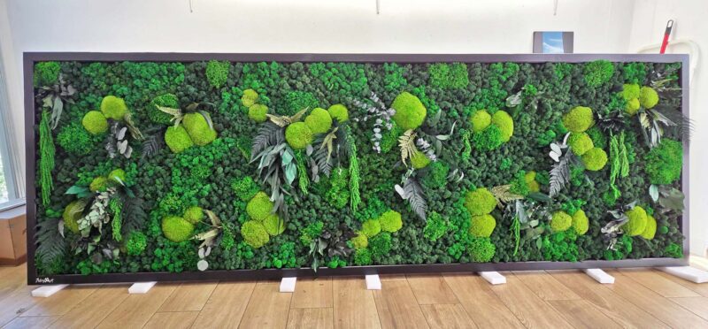 tablou licheni si plante x living