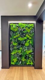 tablou licheni si plante stabilizate living xcm