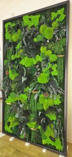 tablou licheni si plante stabilizate living xcm