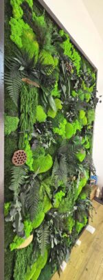 tablou licheni si plante stabilizate living xcm